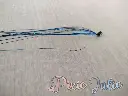 donkerblauw1-67e57d3c0bd61.webp