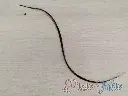 hfbruin1-67e580ef96a88.webp